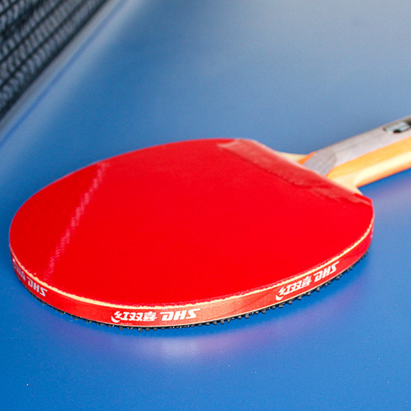 DHS Selbstklebendes Tischtenni – Table Tennis Loki Bewertung und Preis