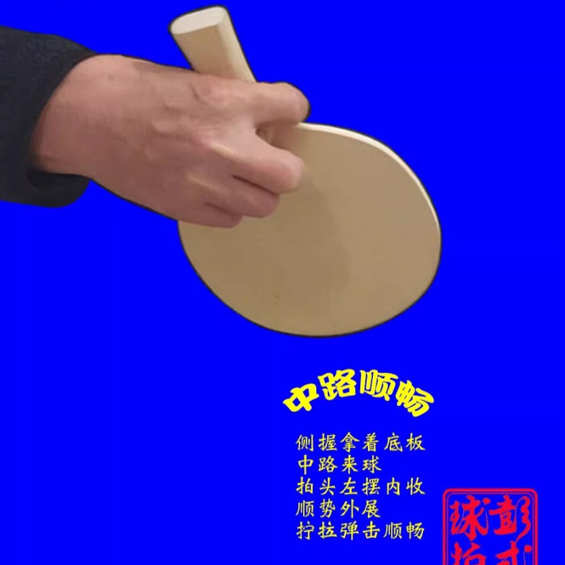 Tischtennisschläger im chinesi – Table Tennis In Japanese Bewertung und Preis